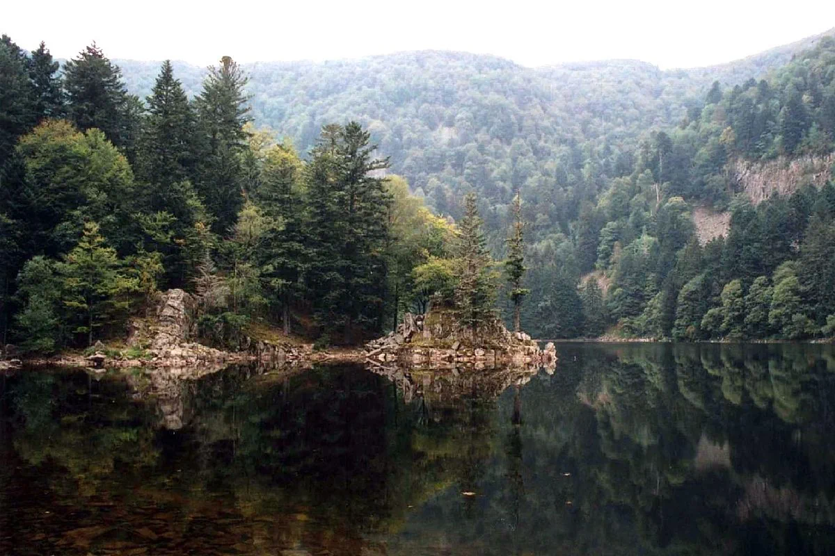 Nature