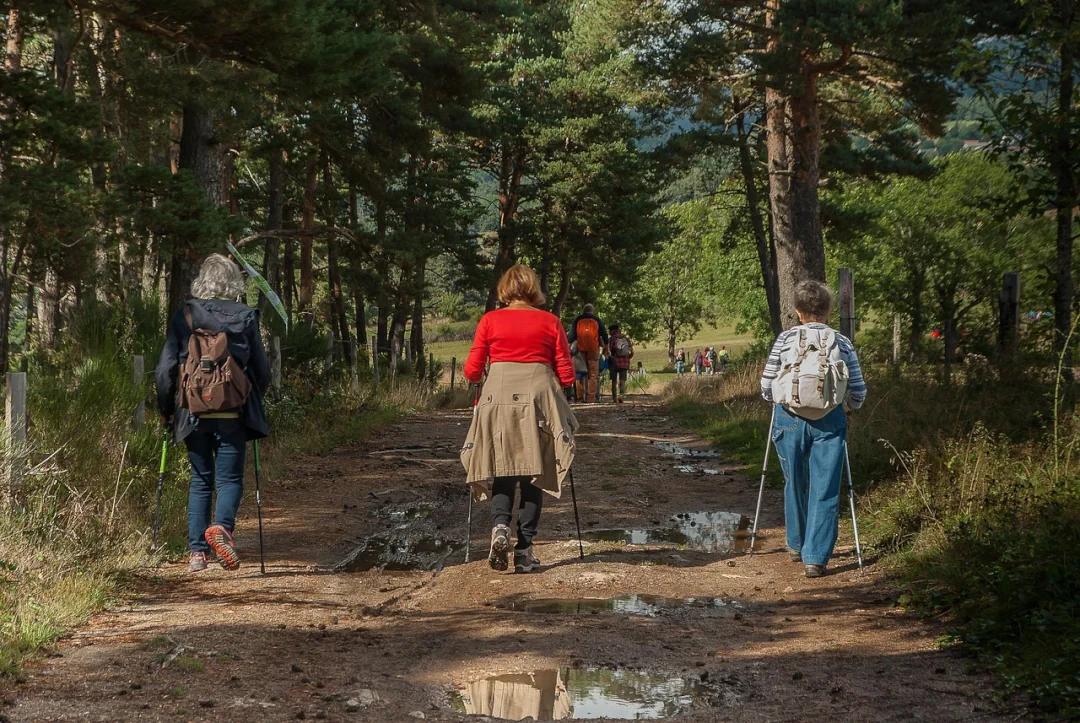 Hiking and trekking